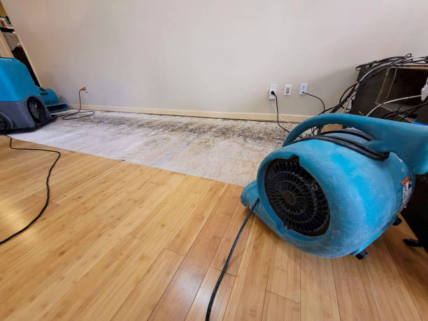 Professional Structural Drying technician working in Rocky Top, TN